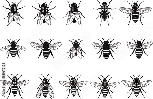 Detailed Collection of Black and White Fly, Bee, and Wasp Illustrations, Featuring Various Insect Pests and Pollinators for Nature and Entomology Designs