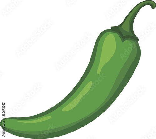 Green chili pepper vector illustration for spicy food ingredient, cooking, and healthy eating concepts.
