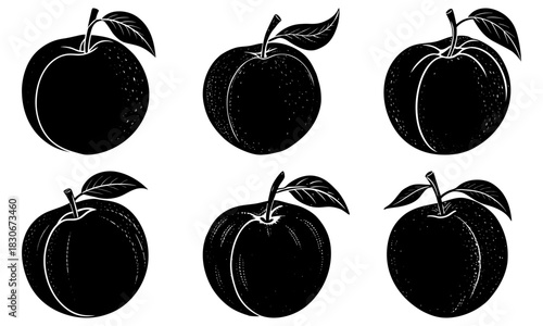 Elegant black and white apple illustration set, perfect for organic food branding, healthy lifestyle designs, and autumn harvest themes, originally vector