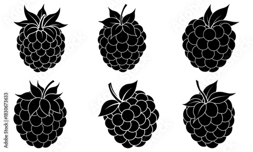 Fresh black raspberries delight, vector illustration for healthy eating, summer treats, and creative designs, perfect for culinary and lifestyle projects