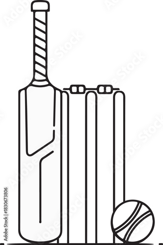 Cricket bat and ball vector