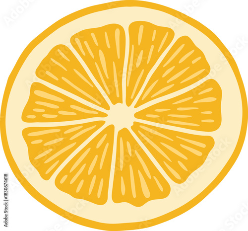 Hand drawn fresh citrus orange slice vector illustration. Lemon fruit clipart
