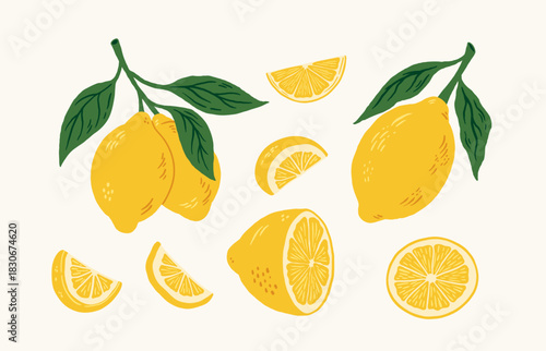 Set of hand drawn organic lemons with leaves and slices vector illustration. Citrus fruit collection for packaging or branding.