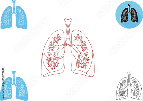 Human Lungs Respiratory System Icon Set, Anatomy Organ Vector Illustration, Pulmonary Health and Breathing Outline Medical Symbol, Oxygen and Ventilation.