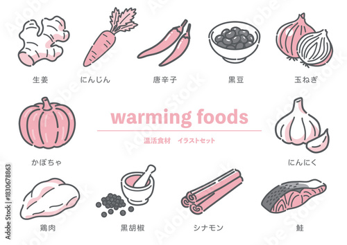 体を温める温活食材11種（生姜、唐辛子、にんじん、鮭など）のセットイラスト
