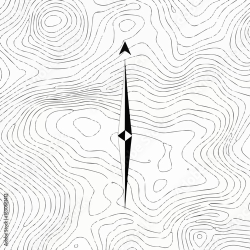 Topographic map with compass, showing elevation and direction, detailed and informative.