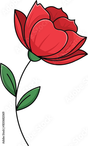 Red flower with green leaves on a white background