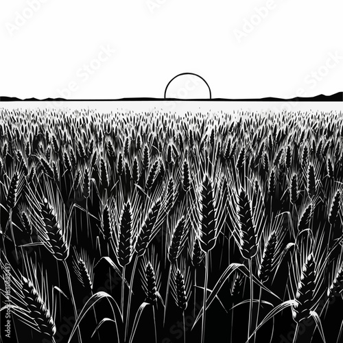 Detailed black and white illustration of wheat field at sunset.
