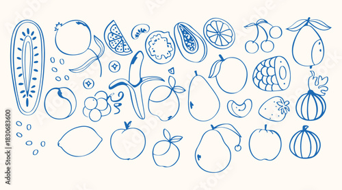Minimalist hand drawn fruit set. Vector sketch of tropical and garden fruits  pineapple, coconut, citrus, banana, apple, grape, lemon, pomegranate, fig, strawberry vector set 