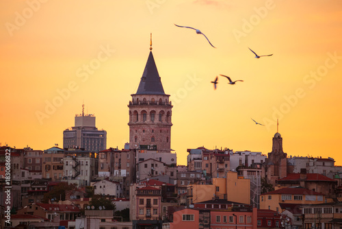 The Galata Tower and seagulls at dawn. Magnificent cityscape of Istanbul in the morning.