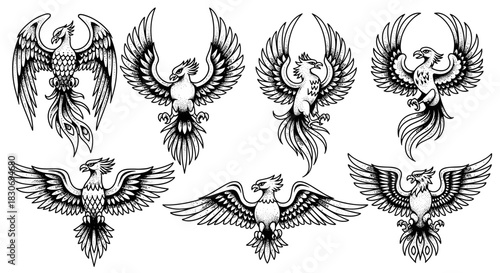 Collection of Mythical Phoenix Bird Illustrations in Black and White.
