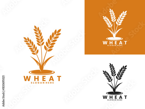 Wheat plant with water logo design vector template. Wheat logo design vector