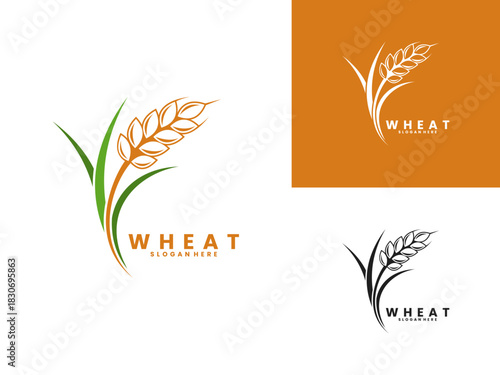 Beautiful wheat plant logo design vector template. Elegant wheat logo design vector