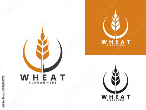 Simple wheat plant farming illustration logo design vector. Wheat logo design vector template