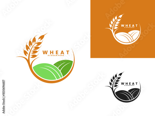 Wheat crop agriculture innovation logo design vector. Wheat logo design vector template