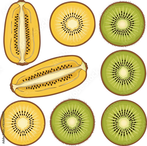 : Create a kinds of deferent golden and brown kiwi fruit half vector art with white background.