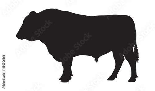 Silhouette of a powerful bull standing against a white background