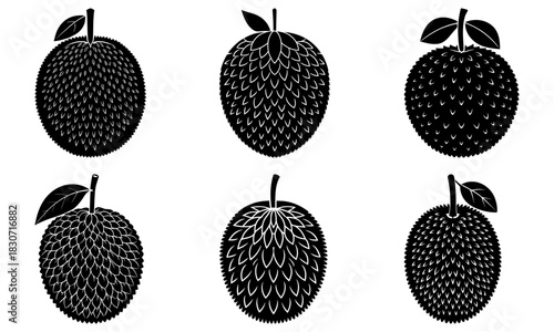 Exotic jackfruit variety, diverse tropical fruit selection, healthy eating concepts, fresh produce, culinary design, vegetarian options, diet choices