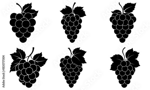 Elegant grapevine design elements for wine labels or food packaging artwork, creating a classic, refined brand aesthetic with scalable vector origins