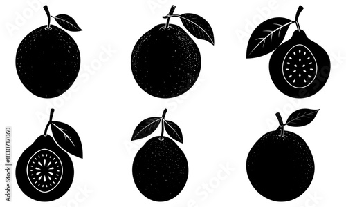 Elegant pomelo fruit graphic, perfect for healthy lifestyle brands, vibrant food blogs, and modern nutrition guides. Fresh, eye-catching, and commercially versatile