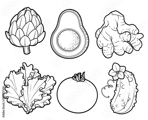 Artichoke, avocado, ginger root, tomato, cucumber and lettuce linear drawing for coloring page on white background