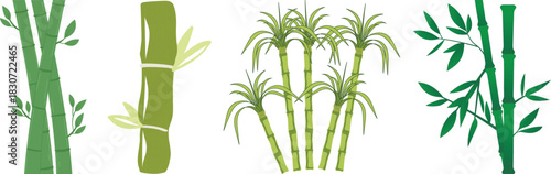Bamboo Sugarcane line art icon set. Design elements for social network and application. on transparent background.Sugarcane stalks vector illustration of fresh sugarcane plants for agriculture.