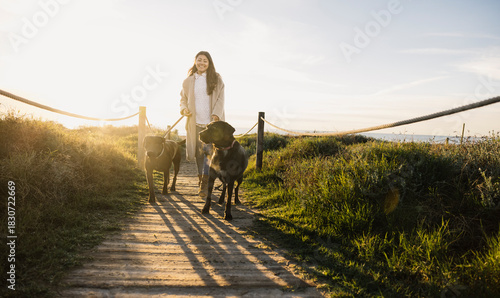 Photography Woman walking two dogs on beach path at sunset