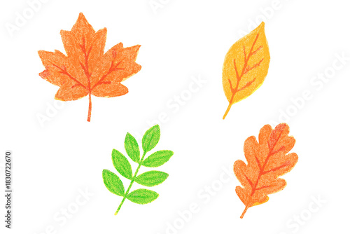 Colorful autumn and summer leaves collection with crayon texture on white