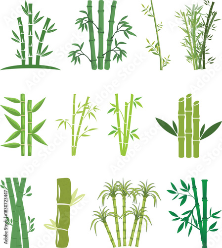 Bamboo Sugarcane line art icon set. Design elements for social network and application. on transparent background.Sugarcane stalks vector illustration of fresh sugarcane plants for agriculture.