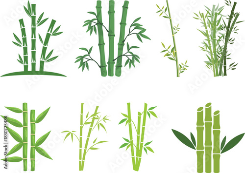 Bamboo Sugarcane line art icon set. Design elements for social network and application. on transparent background.Sugarcane stalks vector illustration of fresh sugarcane plants for agriculture.