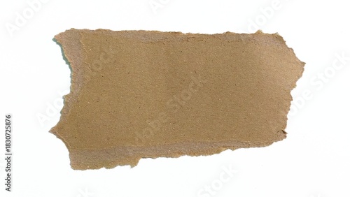 Wallpaper Mural Recycled kraft old brown paper piece torn on white background. Brown torn paper backdrop with space for text. Torontodigital.ca