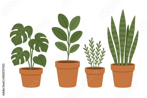 Assortment of green foliage houseplants in terracotta pots for interior design