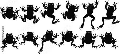 Set of twelve black frog silhouettes, jumping animation sequence frames, vector amphibian motion cycle isolated on white for sprite sheet game design