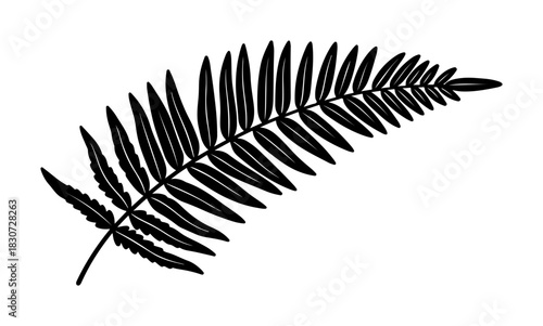 Elegant fern frond silhouette for botanical designs and natural product branding needs