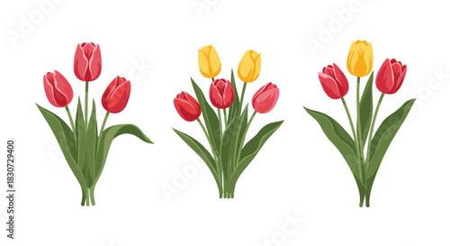 Vibrant red and yellow tulip bouquets, freshly arranged with green leaves, perfect for spring, holidays, and decorative floral designs.