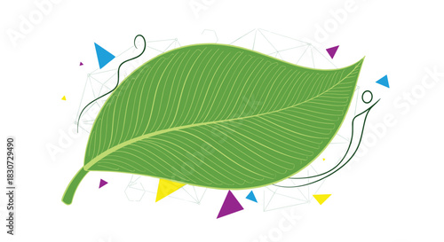 A detailed vibrant green leaf with prominent veins, placed on an abstract background with subtle geometric lines and colorful shapes.