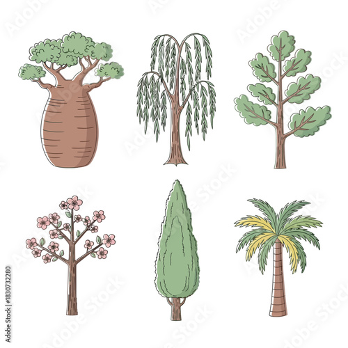 Diverse Tree Collection: Botanical Illustration Featuring Various Species and Growth Forms for