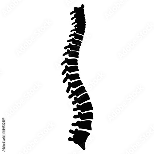 Spooky Spider Party Halloween Icon with Creepy Crawlies Black and White Illustration Arachnid Vector for Decoration