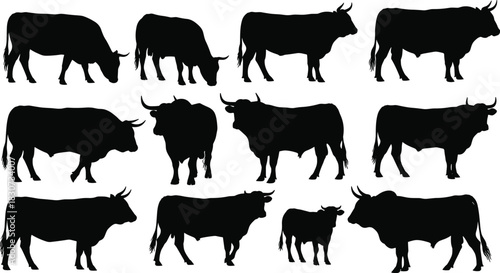 Black Silhouette Bull, Ox, and Cattle Vector Set for Ranch, Farm, Beef, Livestock, Dairy Industry Logo, and Traditional Rural Design.