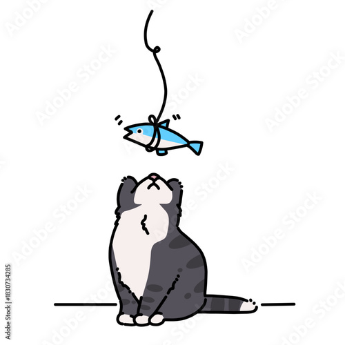 Curious cat staring at dangling fish bait.