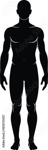 Detailed male human body silhouette standing in anatomical pose, fitness figure outline, medical reference illustration, muscular anatomy shape for professional design