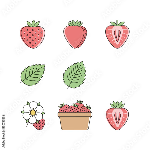 Strawberry patch illustration showcasing various depictions of the beloved berry with leaves