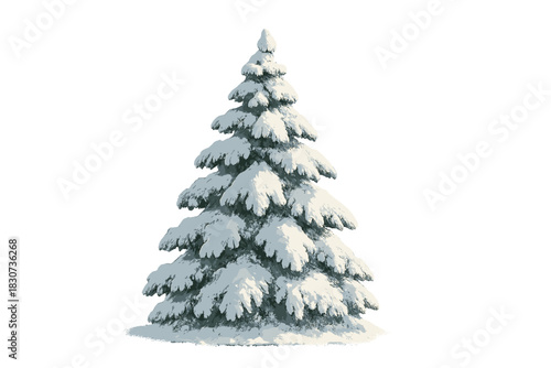 Winter spruce tree covered in thick white snow isolated on a white background