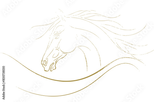 Elegant golden horse head illustration, perfect for equestrian brands and artistic projects
