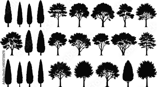Diverse Tree Silhouettes Vector Set Including Cypress and Broadleaf Varieties for Landscape, Nature, Park, Architecture, and Graphic Design Elements.