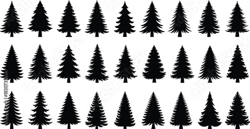 Large set of Christmas and pine tree silhouettes in various styles, evergreen forest spruce fir conifer winter holiday vector graphic collection.
