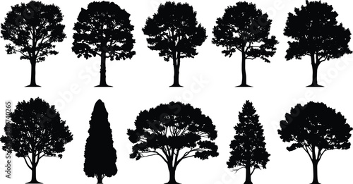 Set of ten detailed black tree silhouettes representing diverse deciduous and evergreen species, ideal for architectural planning, landscape design, and natural vector graphic elements.