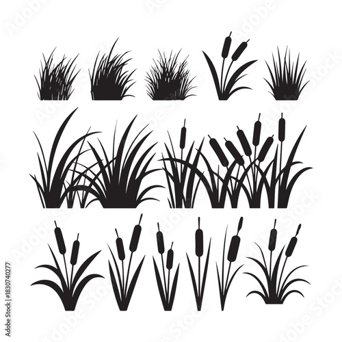 Black Silhouette Vector Set Grass Clumps, Reeds, and Cattail Plants for Design. 