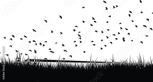 Silhouette of a large flock of birds flying over tall grass field, illustrating freedom, migration, and wildlife, a monochromatic black and white vector design element on clean background.