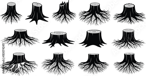 Set of tree stump and root illustrations, black silhouette of wood trunk with underground roots, nature, forestry, and deforestation vector pack.